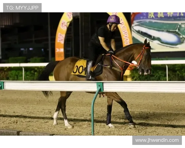 澳门威泥斯人app下载手机版正版官网：畅享无缝娱乐体验